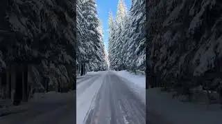 Alaska USA
