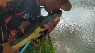 MAIS UMA BRUTA NA REPRESA.