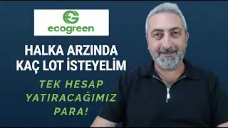 How Many Lots Should We Ask for in Ecogreen Energy IPO 