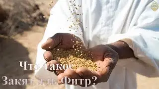 What is FITRA / Zakat al Fitr? [NEW]