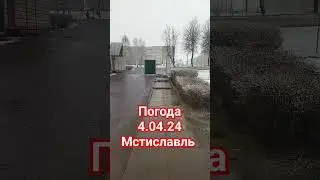 Погода не перестает удивлять #мстиславль #2024