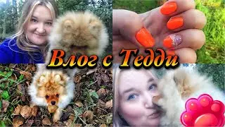 ПЕРВЫЙ ВЛОГ СО ШПИЦЕМ ТЕДДИ🐻❤️