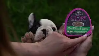 CORE WET SMALL