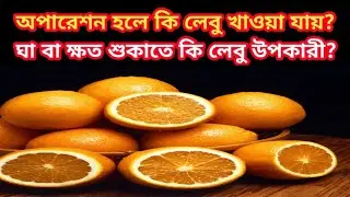 টক ফল খেলে কি ঘা শুকায় না? কি বলছে আধুনিক গবেষনা? Food for Wound Healing