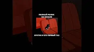 Кротик и ЕГО ПЕРВЫЙ ТАЗ 