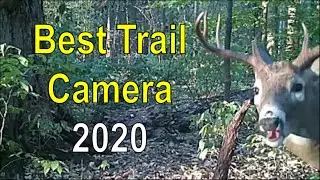 Best Trail Cameras 2020
