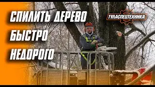 Спилить дерево любой сложности. Низкая цена. Тульская область