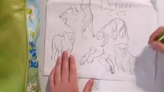 How to Draw Cats Tutorial - Part 2