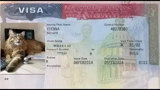 Как быстрее поменять паспорт в консульстве