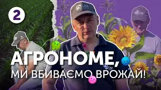 Наслідки пізнього внесення гербіцидів | Агрономе, ми вбиваємо врожай!