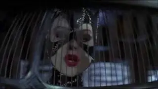 Batman - A Tribute to Catwoman