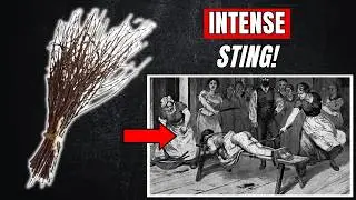 Birch Spanking – A PAINFUL Form of Corporal Punishment | Birching | Flogging