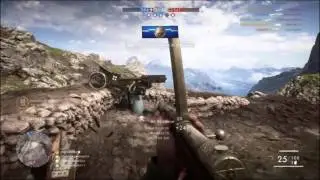 Roadkill