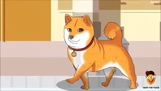 Baby Doge Doo Doo Doo Doo Doo Doo BabyDoge Song for Children