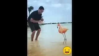 Мама я танцую танец. Смотри, смотри скорее.