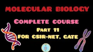 EUKARYOTIC TRANSCRIPTION  | CSIR NET | GATE | IIT JAM | DBT | NEET | ICMR | MSC
