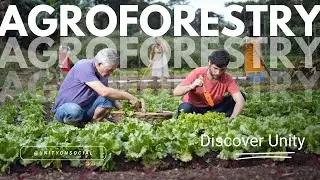 Uncover The Hidden World Of Agroforestry At Unity