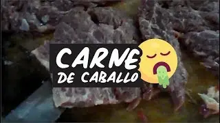 NOS VENDEN CARNE DE CABALLO EN VENEZUELA