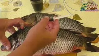 The fastest way to deliciously marinate fish, meat, poultry for hot smoking in the country!