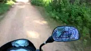 pal bike in neutral