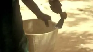 Djembebau in Westafrika
