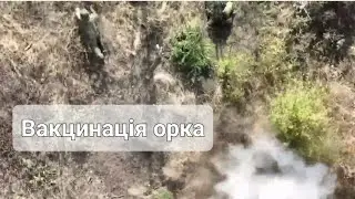 Укольчік в попу орку. Сподіваюсь те падло скопитилось