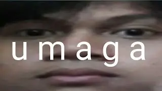 u m a g a