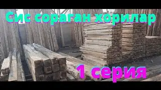 сис сораган хори нархлари