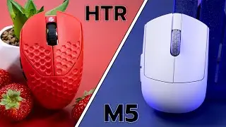 Des souris fingertip.. mais pas que ? - Gwolves HTR 8k & Darmoshark M5 8k review