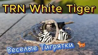 TRN White Tiger - Веселые Тигрятки 🐅