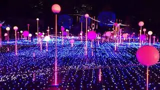 Roppongi Hills winter illumination 2018.