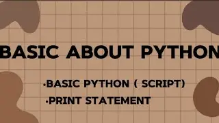 *Python* what is variable? how to use it? what is a print statement?