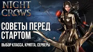 Советы перед стартом MMORPG Night Crows. Когда релиз? Какой класс выбрать? Сколько серверов?