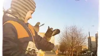 Прогулка