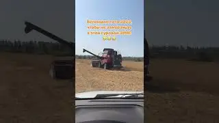 Слеза накатилась от воспоминаний? 
