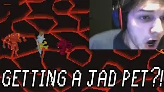 HOW TO GET THE JAD PET?!