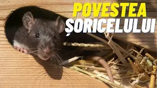 Poveste cu talc - Soricelul