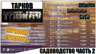 Тарков квест механика садоводство часть 2