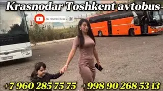 +79602857575 Краснодар Ташкент автобус +Ташкент Краснодар автобус,Краснодар Худжанд автобус