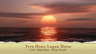 Tera Hone Lagaa Hoon | Lofi | High Bass | Surround Sound 4k |