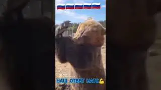 2 мая 2024 г.