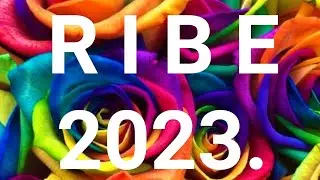 ❤RIBE 2023. GODINA❤ TAROT ČITANJE za svih 12 MESECI U 2023. GODINI 👉NOVAC LJUBAV⭐ASTRO TAROT 13
