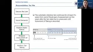 DLS Role of the Collector