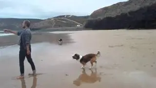 VID 20150912 090332
