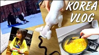 Радуемся снегу в Корее / Домашний влог / KOREA VLOG /