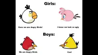 An Example of turning a gender into an angry bird