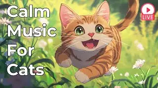 🔴 Gentle Music for Cats 🎵 24/7 Comfort and Stress Relief 🐈🎵Cat Sleep Music 🔴