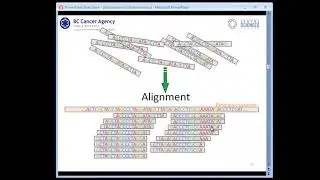 Introduction to Bioinformatics