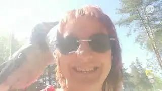 нашла птенца вороны в парке.