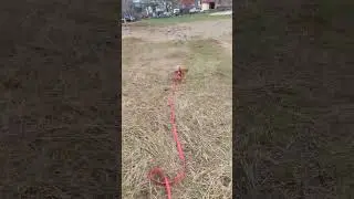 Команда сидеть